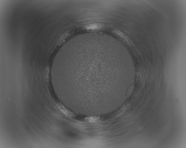 X0000071810660200606301228