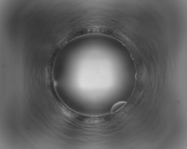 X0000071810661200606301228