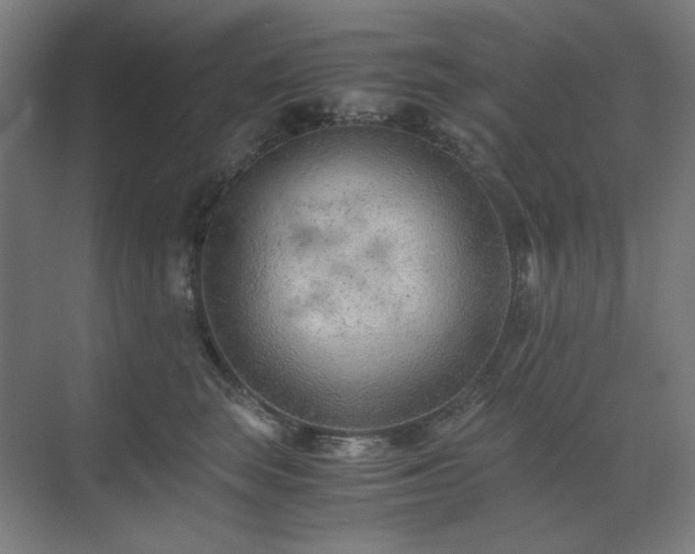 X0000071810663200606301228