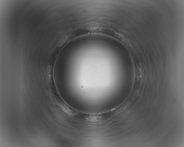 X0000071810664200606301228