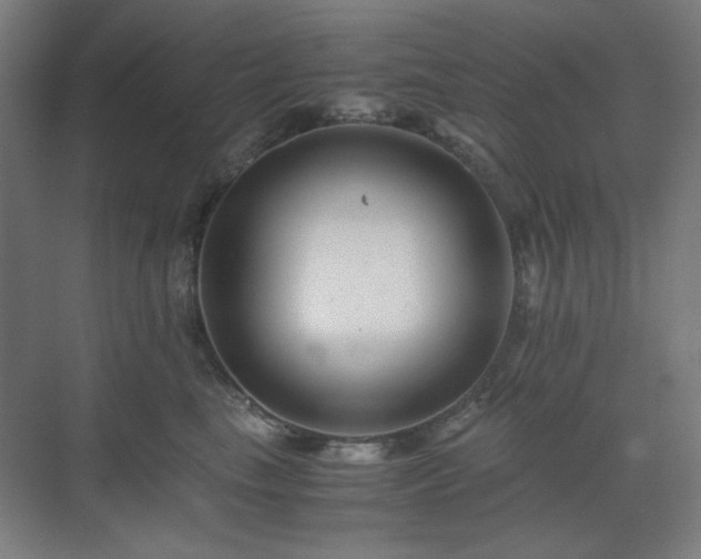 X0000071810665200606301228