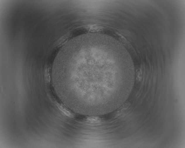 X0000071810666200606301228