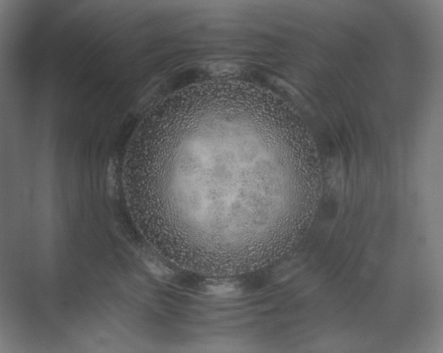 X0000071810667200606301228