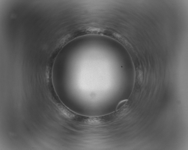 X0000071810668200606301228