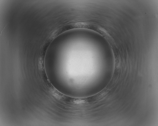 X0000071810669200606301228