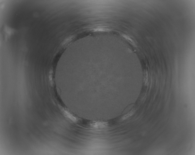 X0000071810670200606301228