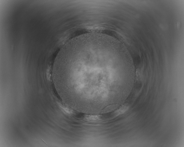 X0000071810671200606301228