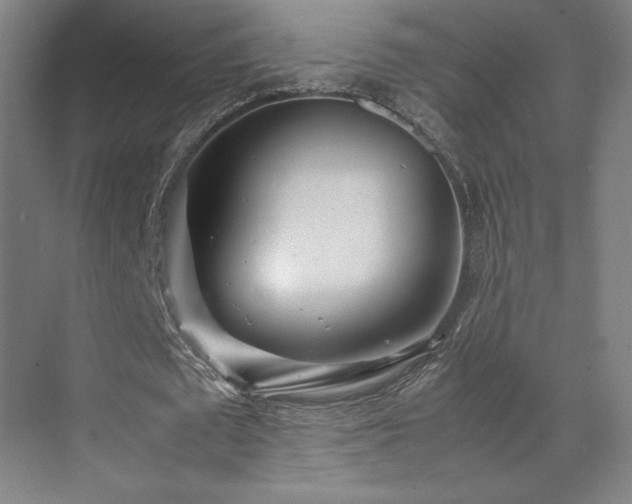 X0000071810673200606301228