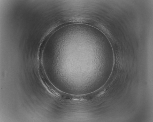 X0000071810674200606301228