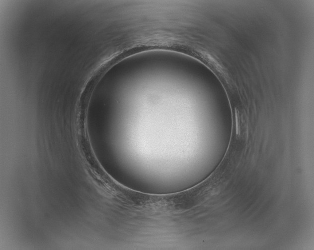 X0000071810675200606301228