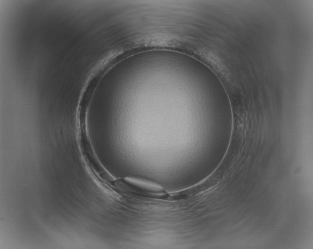 X0000071810678200606301227