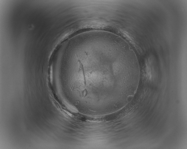 X0000071810679200606301227