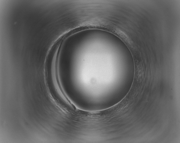 X0000071810680200606301227