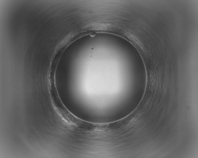 X0000071810682200606301227