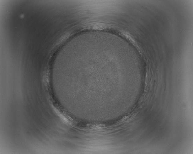 X0000071810683200606301227