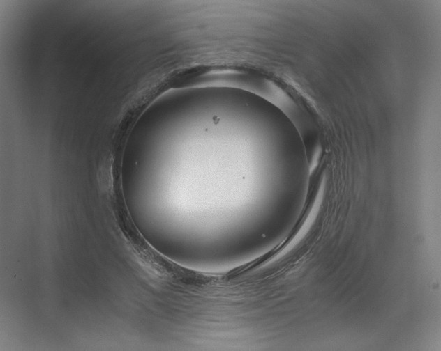 X0000071810685200606301227