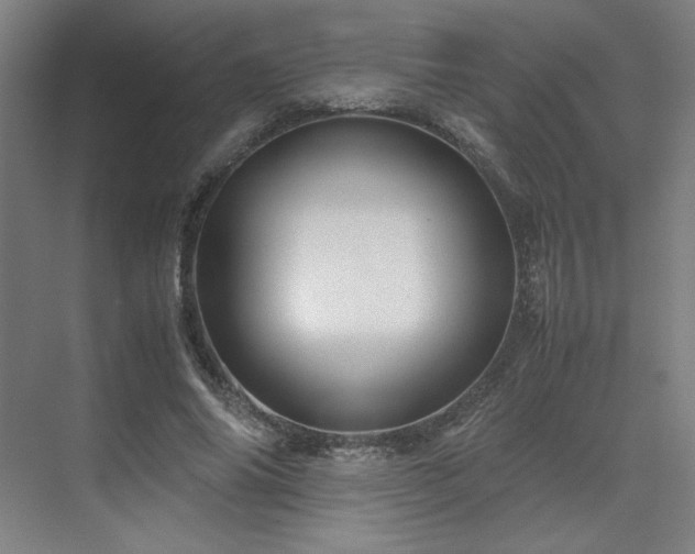 X0000071810686200606301227