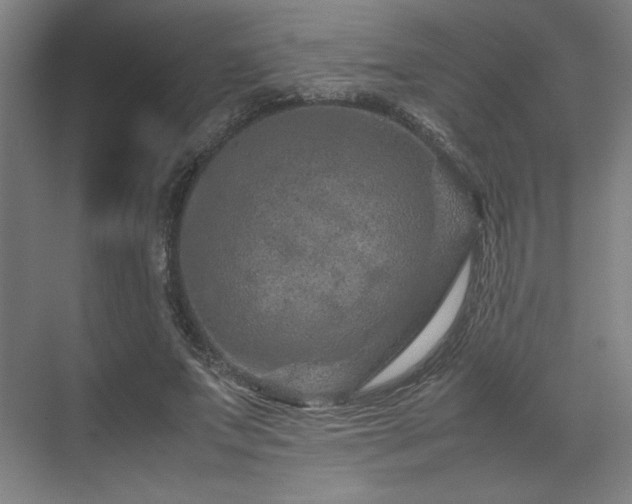 X0000071810687200606301227