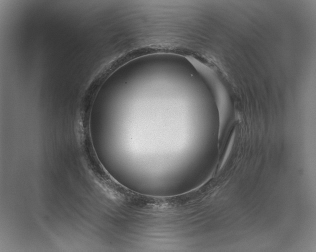 X0000071810688200606301227