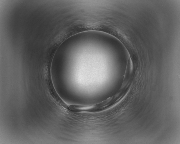 X0000071810689200606301227