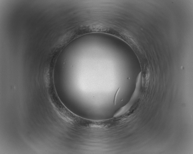 X0000071810690200606301227