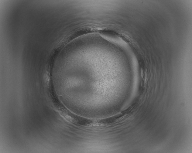 X0000071810691200606301227