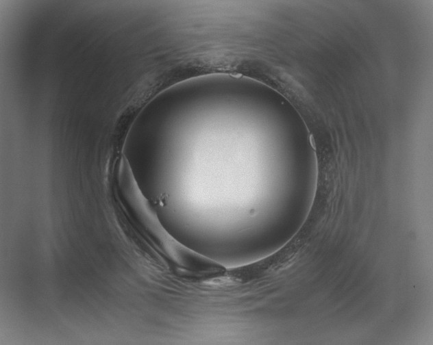 X0000071810693200606301227