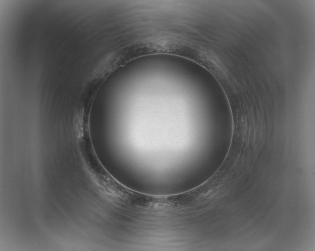 X0000071810694200606301227