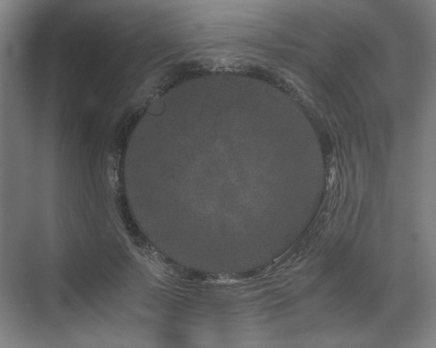 X0000071810695200606301227