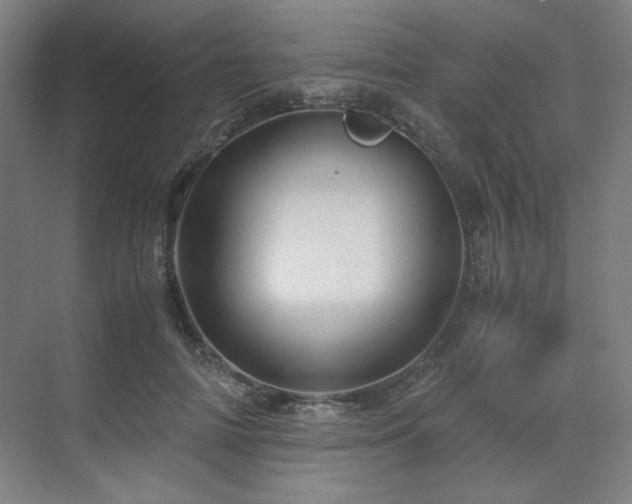 X0000071810698200606301227