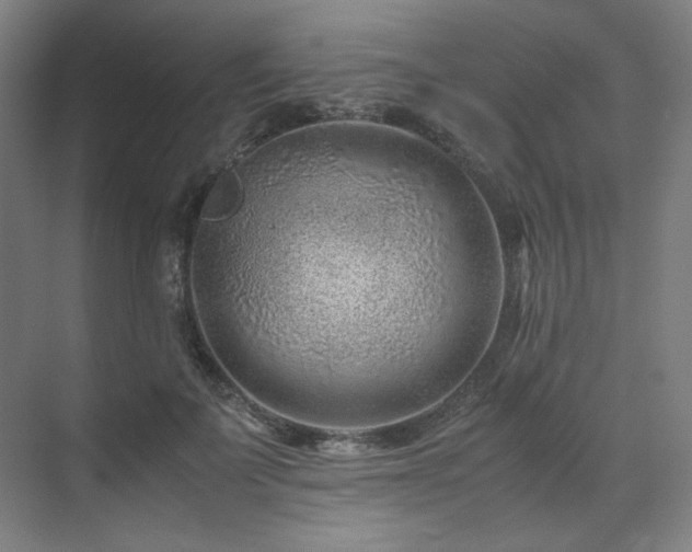 X0000071810699200606301227