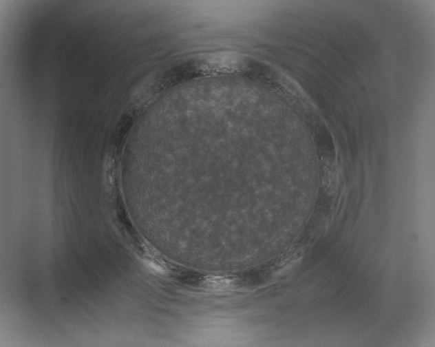 X0000071810701200606301227