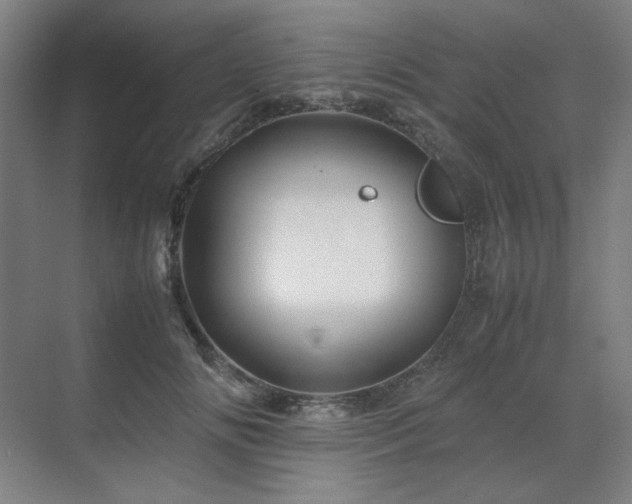 X0000071810702200606301227