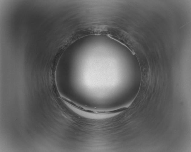 X0000071810704200606301227