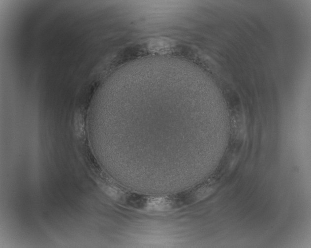 X0000071810705200606301227