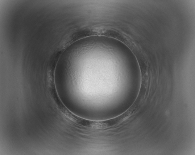 X0000071810707200606301227