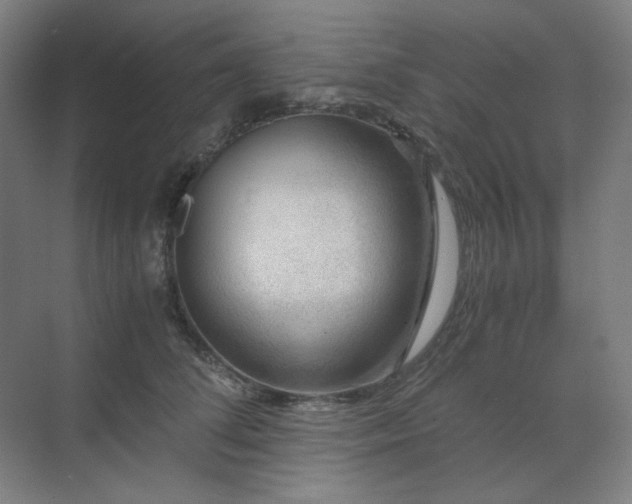 X0000071810708200606301227