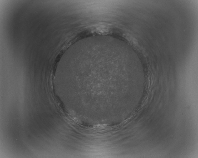 X0000071810709200606301227