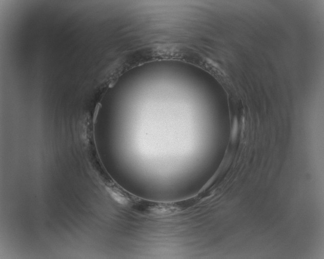 X0000071810712200606301227