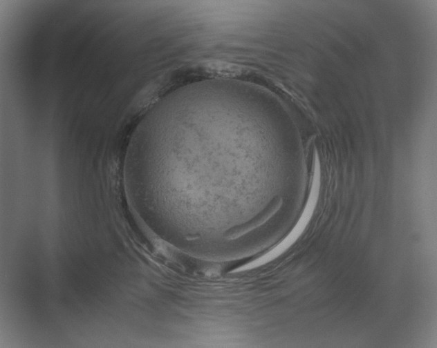 X0000071810713200606301227