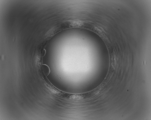 X0000071810714200606301227