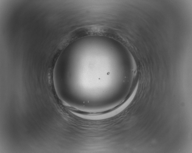 X0000071810715200606301227