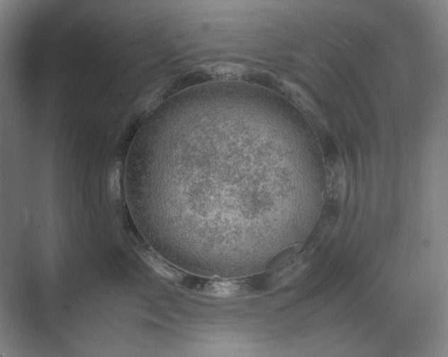 X0000071810717200606301227