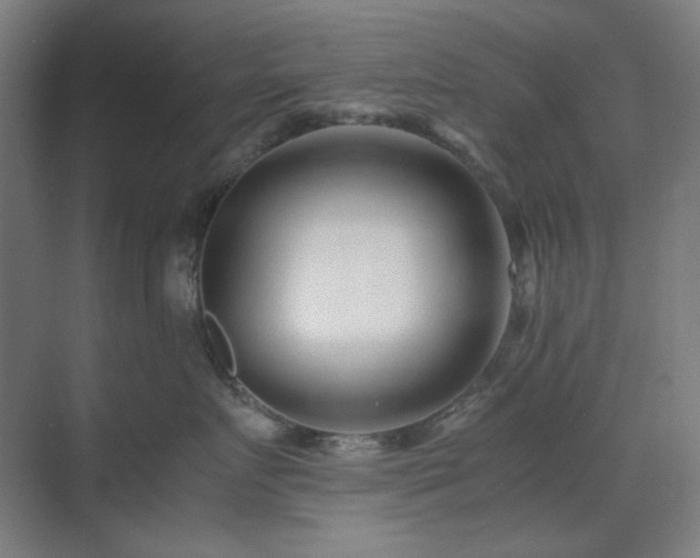 X0000071810719200606301227