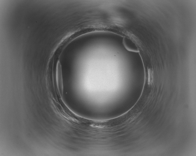 X0000071810723200606301226