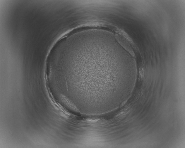 X0000071810724200606301226