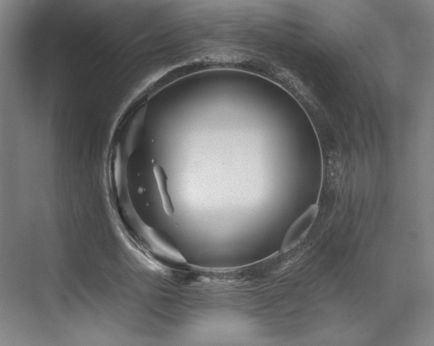 X0000071810726200606301226