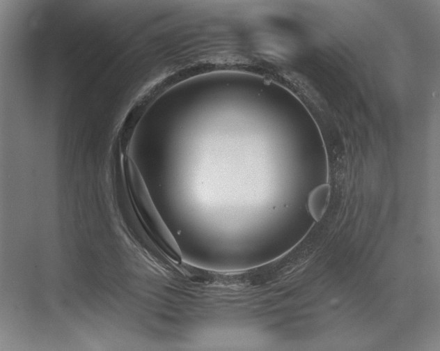 X0000071810727200606301226