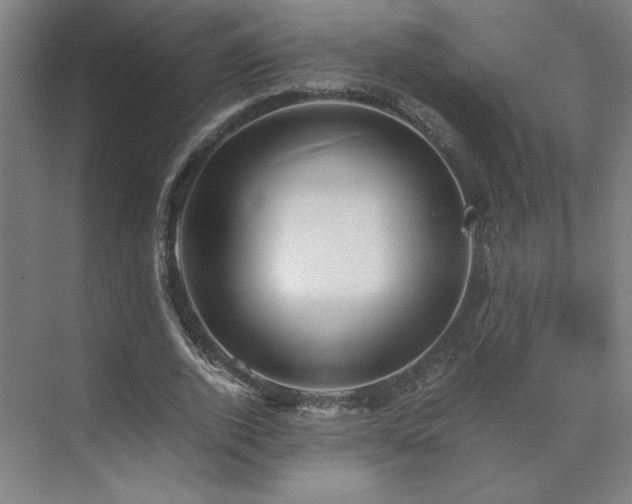 X0000071810728200606301226