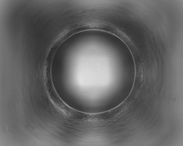 X0000071810730200606301226